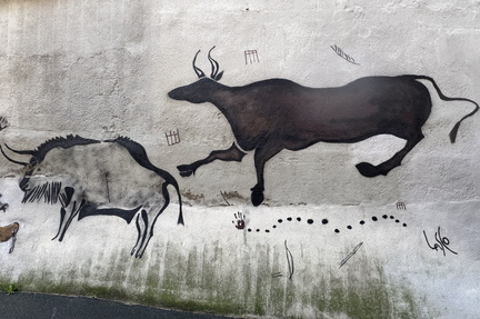 Bison & vache